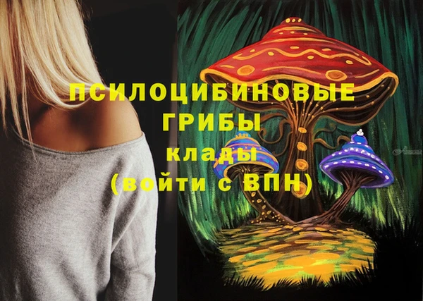 гашик Баксан